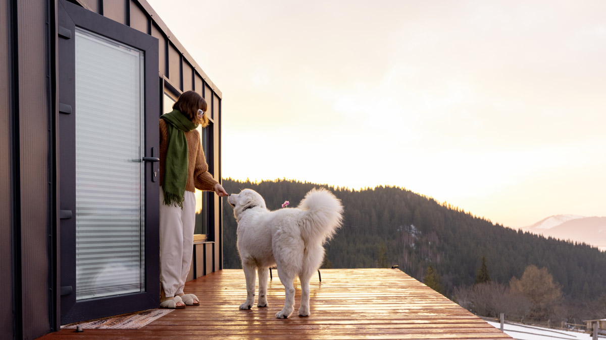 Tiny House'lar yaşam tarzına dönüşüyor