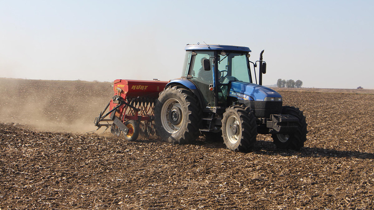 Son yılların en kurak dönemini yaşayan Trakya'da ekim ayında metrekareye ortalama 1 kilogram yağış düştü.