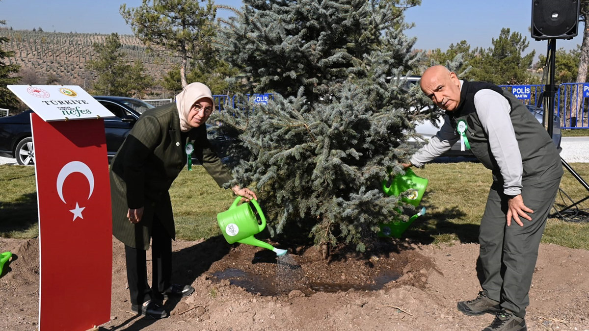 '11 Kasım Milli Ağaçlandırma Günü' kapsamında Türk Devletleri Teşkilatı üyesi 7 ülkede fidan dikildi.