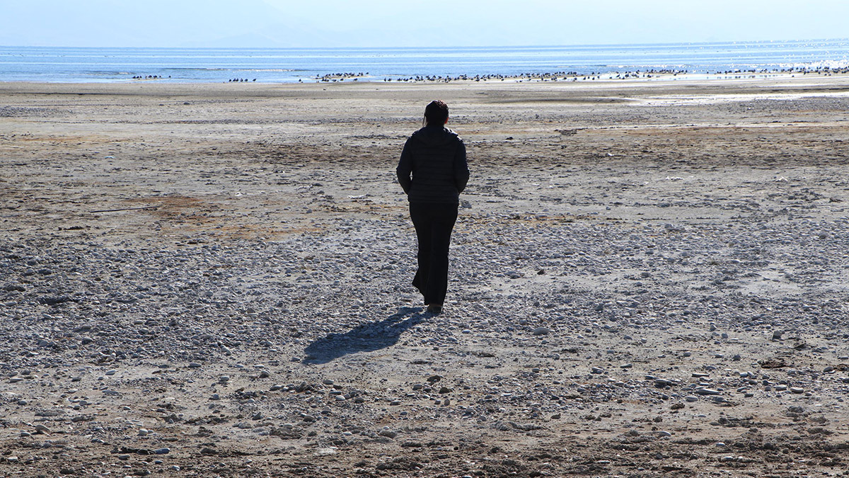 Van'da son yıllarda azalan yağış ve artan buharlaşma ile birlikte yaşanan kuraklıktan en fazla Van Gölü Havzasındaki su kaynakları etkileniyor.