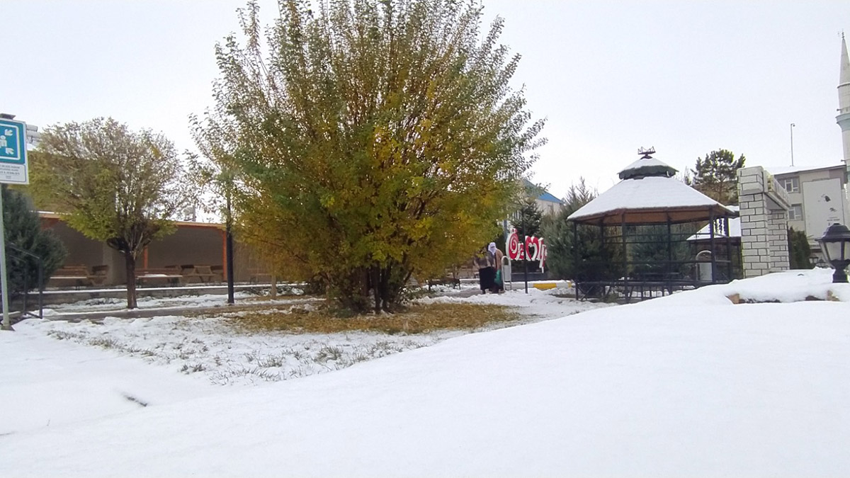 Van'da kar yağışı etkili oldu