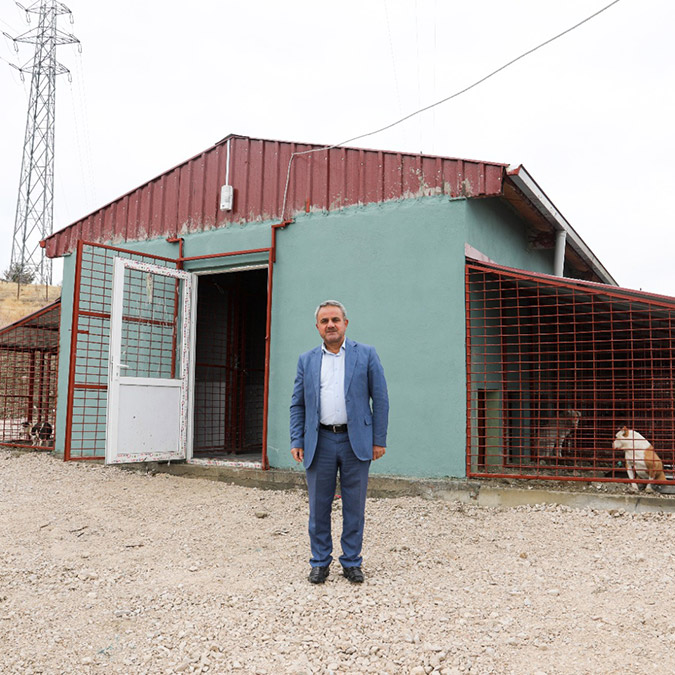 Yasaklı ırk köpekler için yeni yaşam alanı