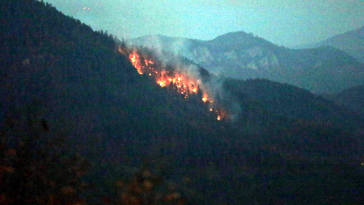 Yedigöller Milli Parkı yolu üzerinde ormanda yangın