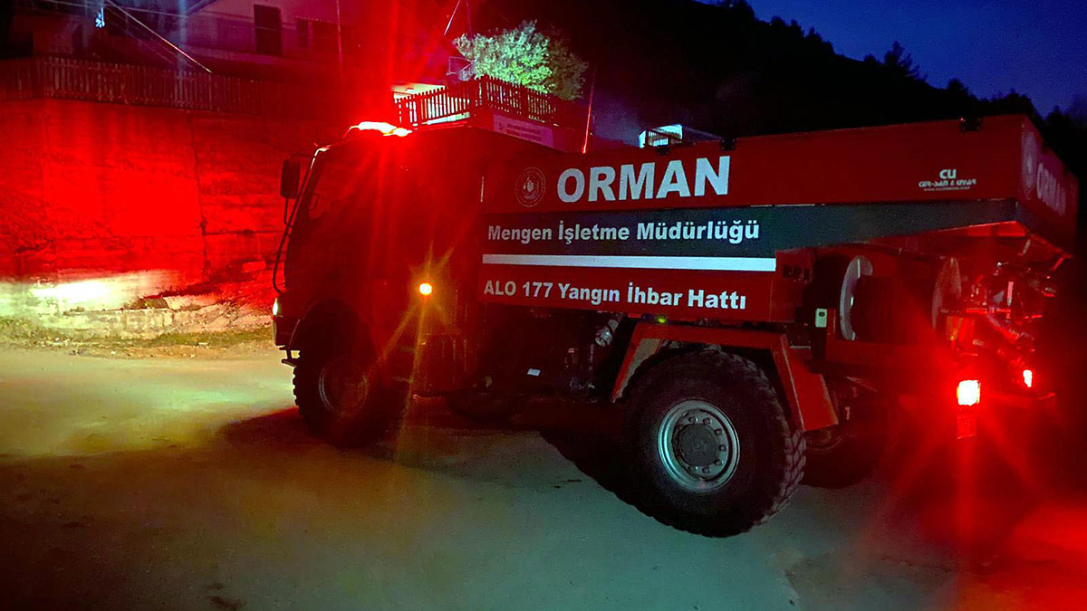 Yedigöller Milli Parkı yolu üzerinde ormanda yangın