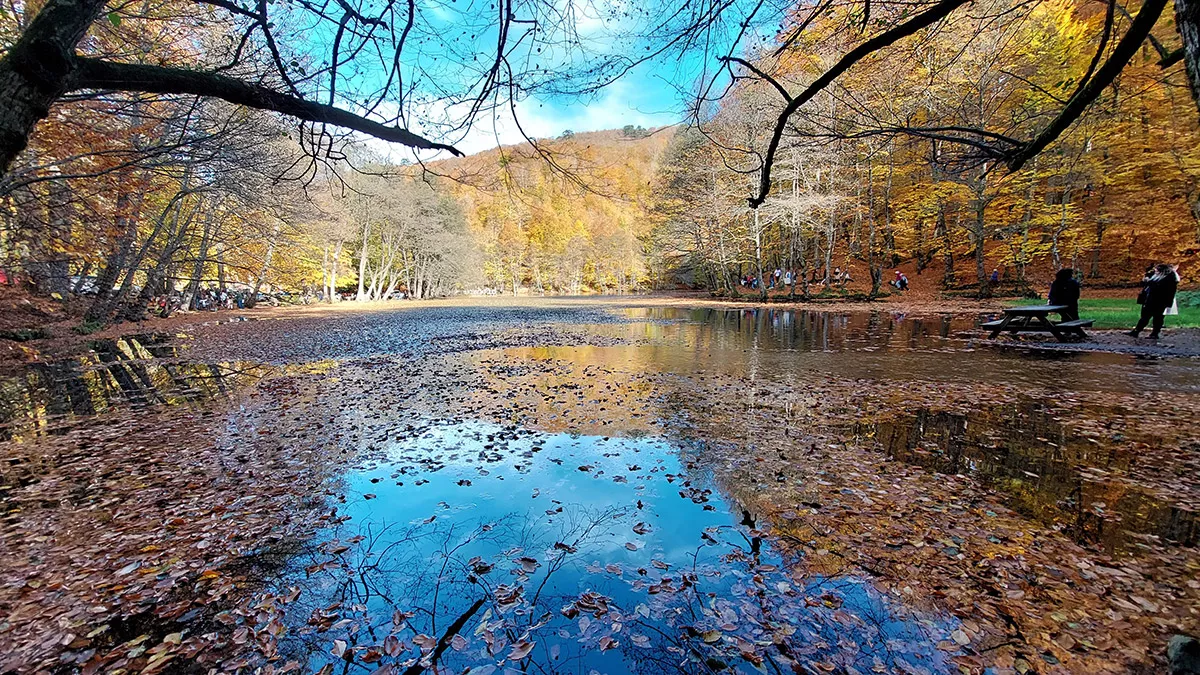 Yedigollerde sonbahar guzelligi 7956 dhaphoto1 - yaşam - haberton