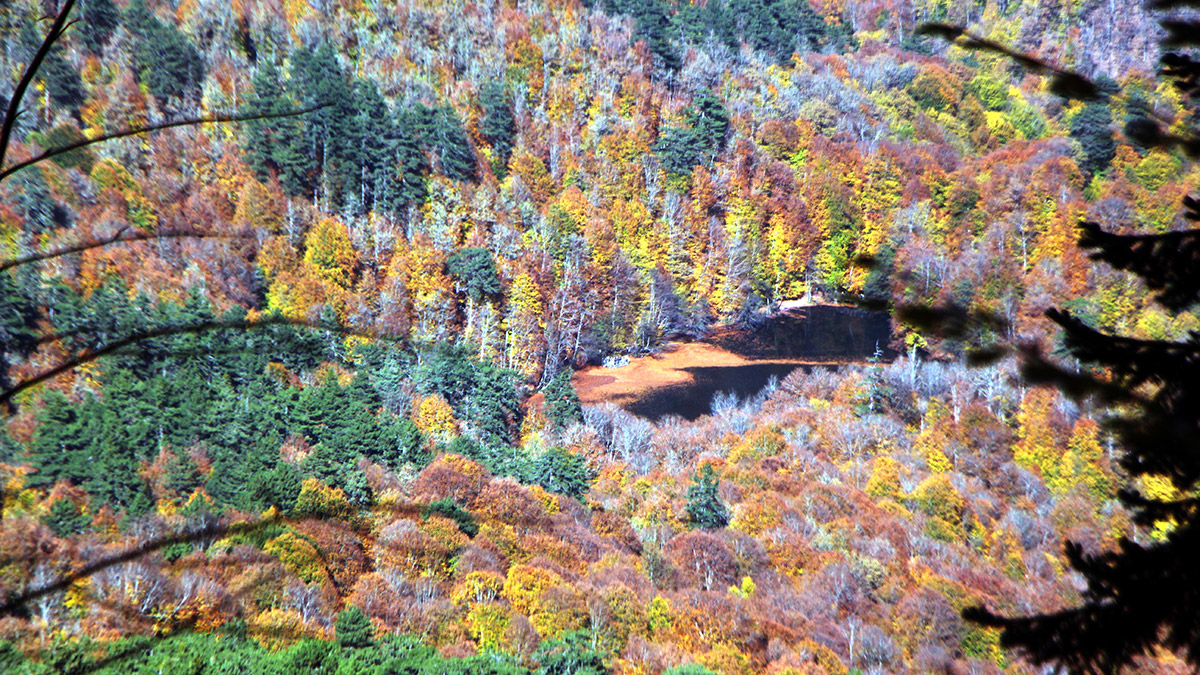 Yedigöller Milli Parkı büyüledi