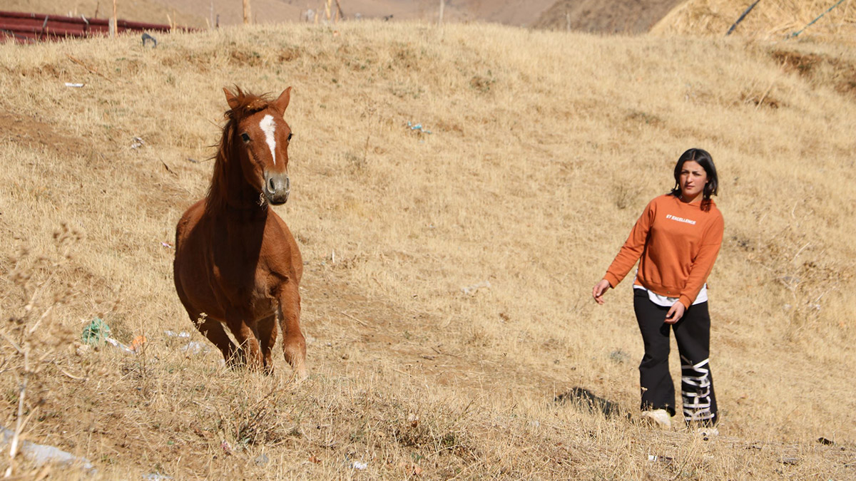 Gözleri görmeyen tayı sahiplendi