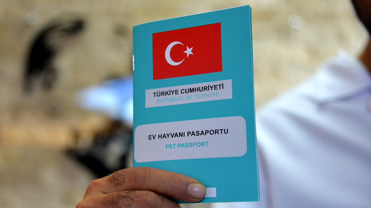 1 milyon 104 bin 557 ev hayvanı kayıt altına alındı