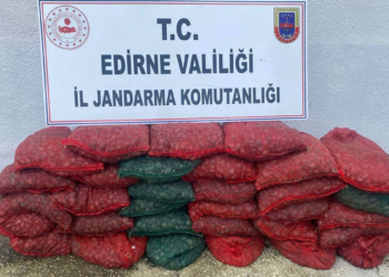 1 ton kaçak midye ile yakalanan 2 kişiye ceza