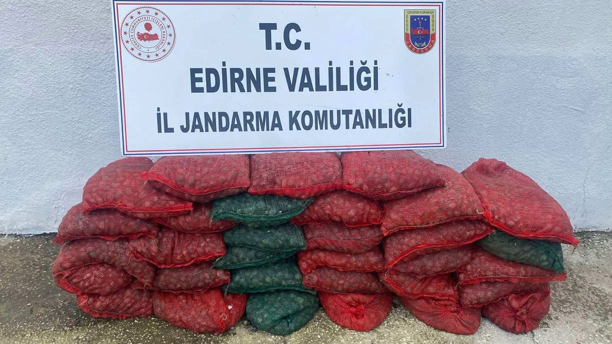 1 ton kaçak midye ile yakalanan 2 kişiye ceza