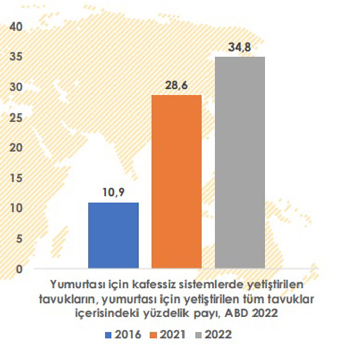 Yumurtası için yetiştirilen tavukların tutulduğu kafes sisteminin kaldırılması için çalışan Kafessiz Türkiye, 2022 Yumurta Takip Raporu’nu yayımladı.