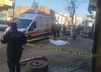 Abisini öldürüp annesinin mezarı başında intihar etti