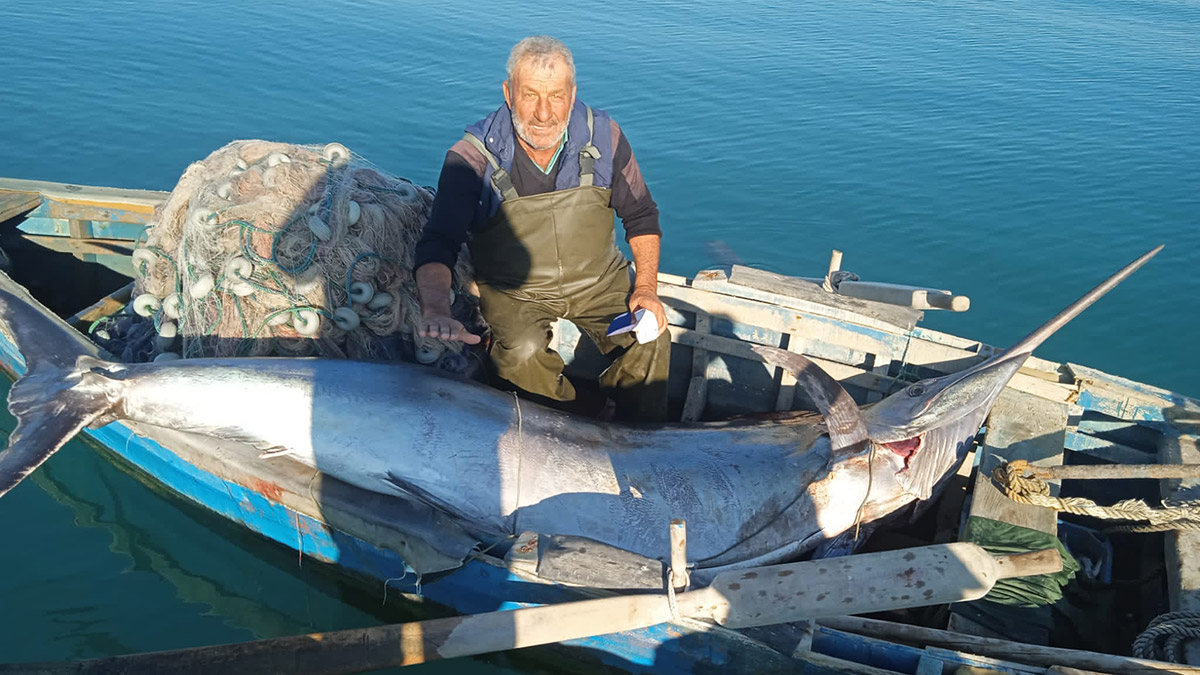 Adanalı balıkçılar 274 kiloluk blue marlin yakaladı