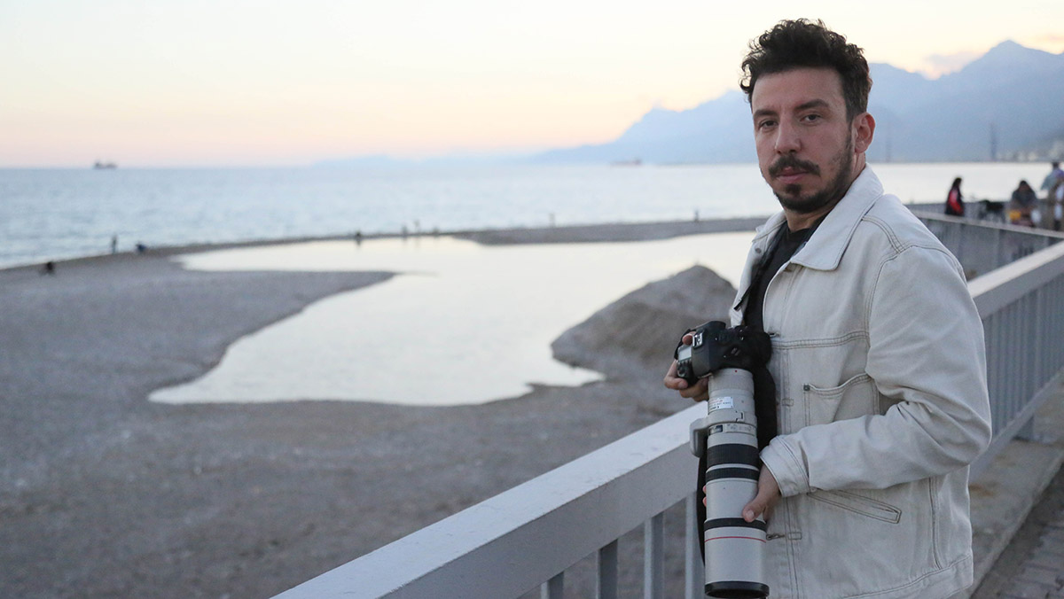 Akdeniz'de 'ustura gagalı' kuşu aranıyor