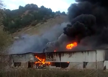 Amasya'da kontrplak fabrikasında yangın
