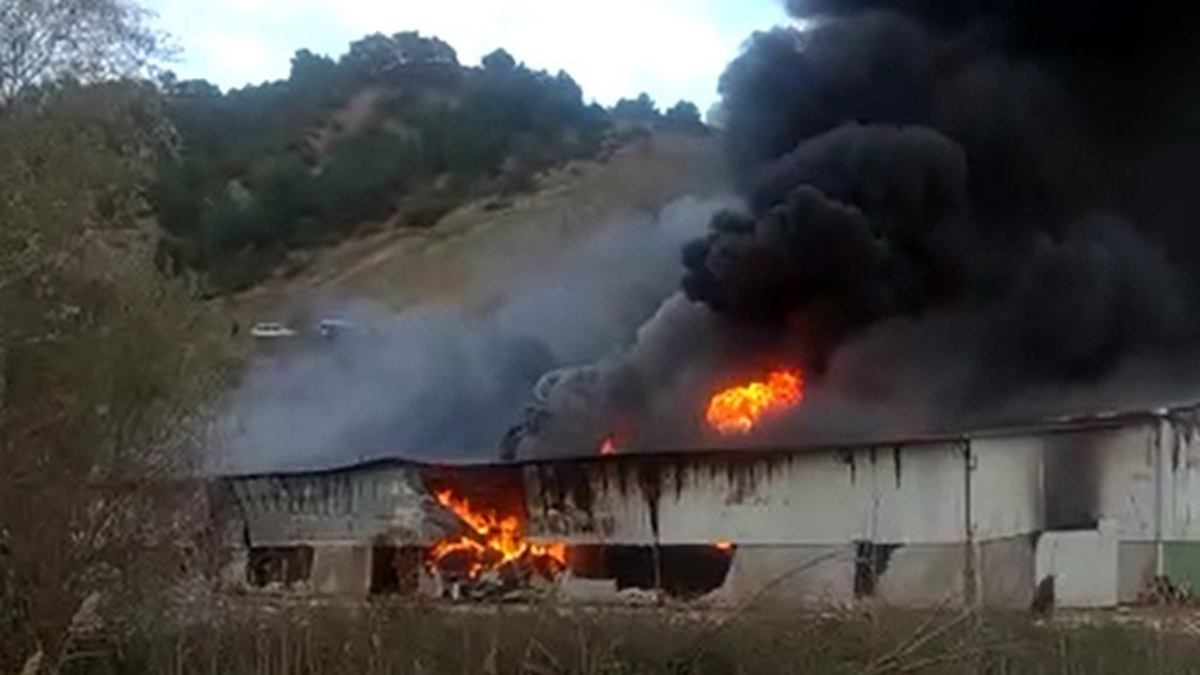 Amasya'da kontrplak fabrikasında yangın