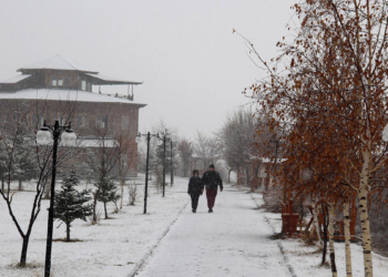Ardahan'a kar yağışı etkili oldu