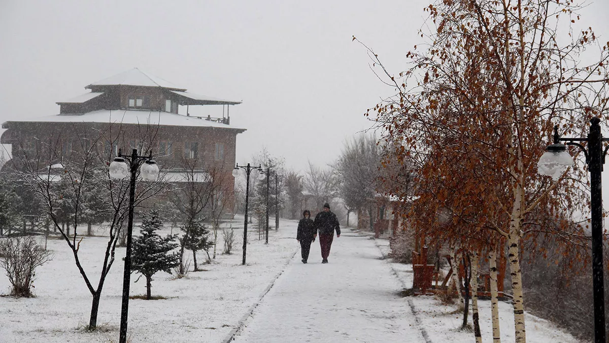 Ardahan'a kar yağışı etkili oldu
