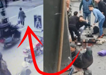 Bayrampaşa'da kadına kamyonet çarptı