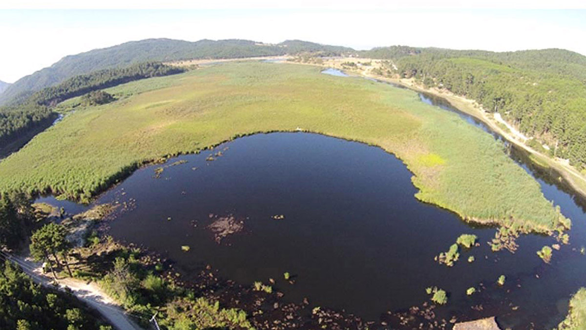 Buldan'da fosil zeytin polenlerine rastlandı