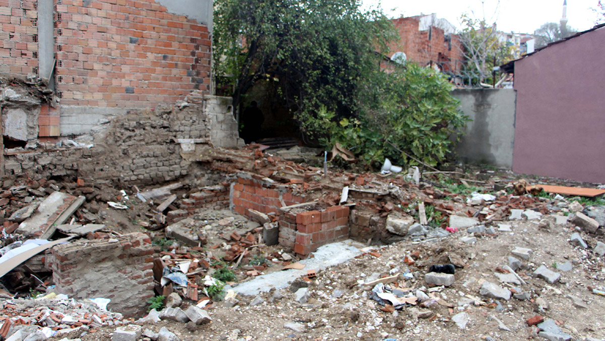 Edirne'de kedi ölümleriyle ilgili soruşturma başlatıldı 