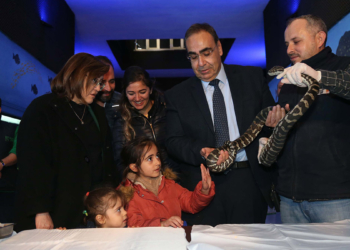 Ele geçirilen 108 hayvan korumaya alındı