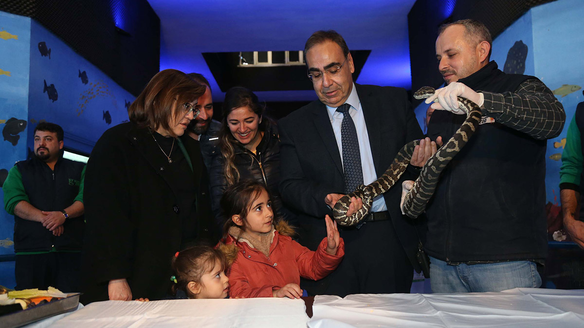 Ele geçirilen 108 hayvan korumaya alındı