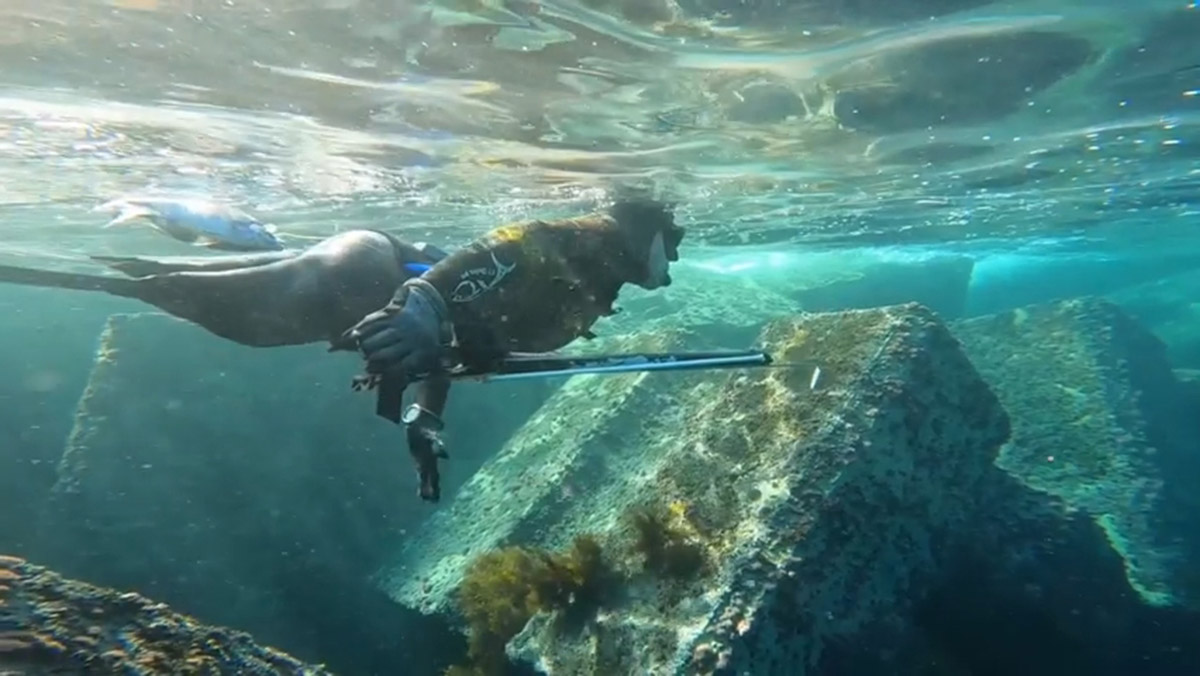 Engelli dalgıç, su altını keşfediyor