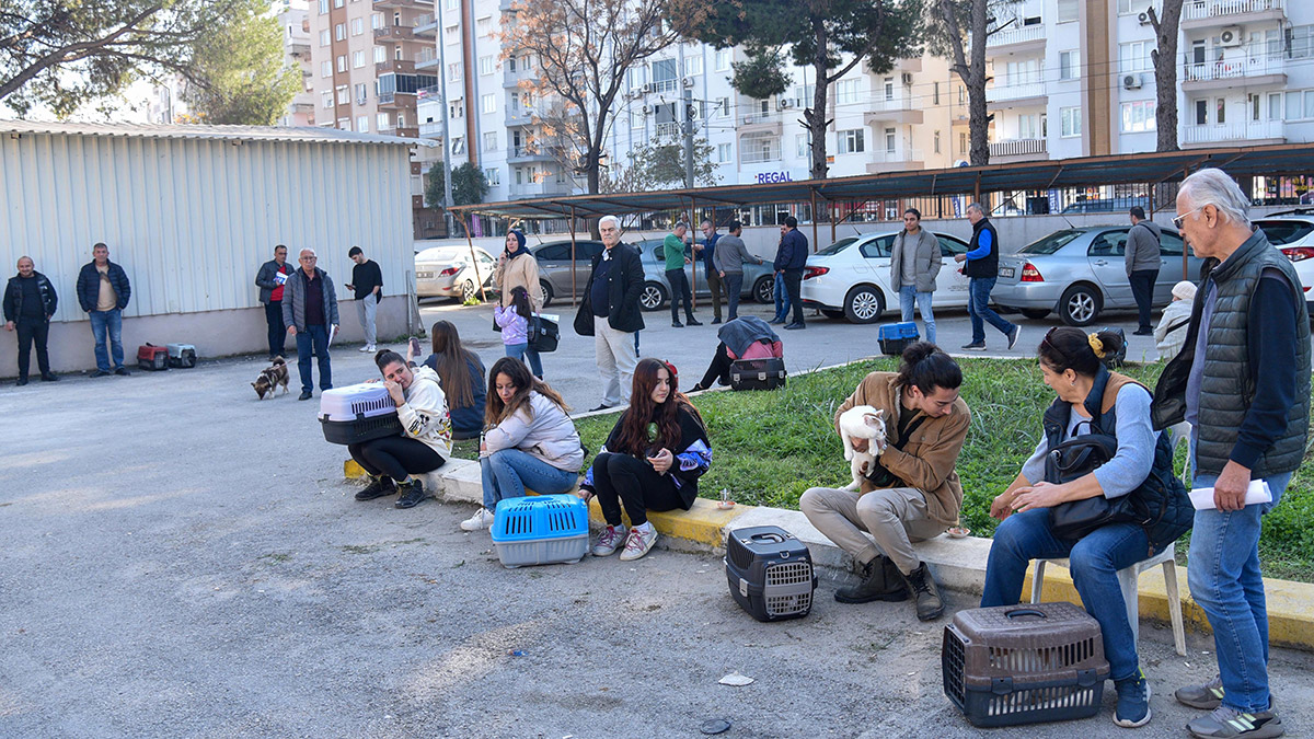 Evcil hayvan sahiplerinin 'çip taktırma’ sırası