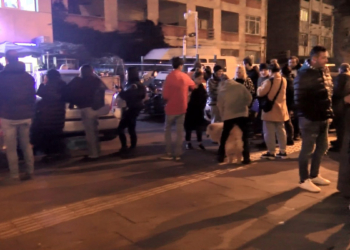 Evcil hayvanlara çip takmada akşam yoğunluğu