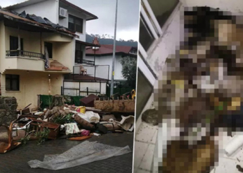 Evinde kedi ve köpek ölüleri bulunmuştu; ifadesi ortaya çıktı