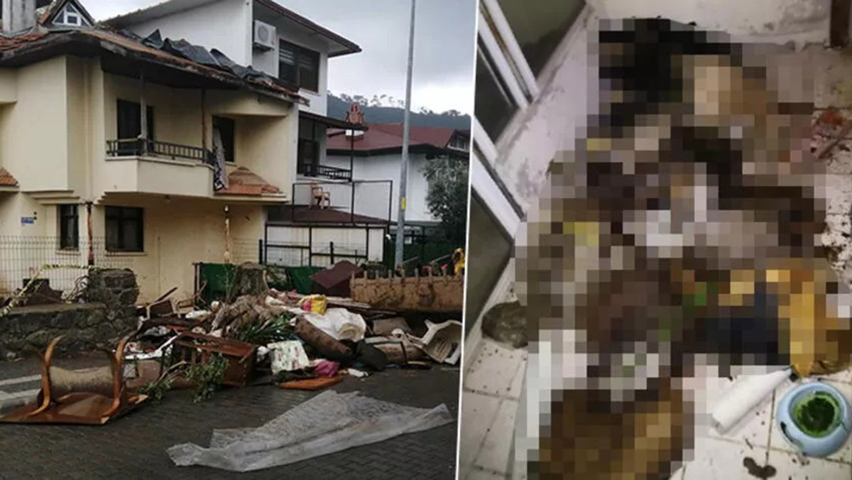 Evinde kedi ve köpek ölüleri bulunmuştu; ifadesi ortaya çıktı