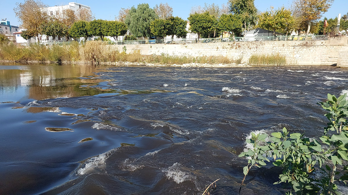 Göksu Nehri'nde su siyaha döndü