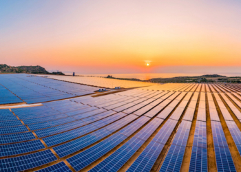 Güneş enerjisine ilgi 2022’de yüzde 30 arttı