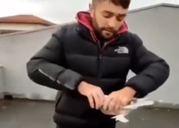 Güvercinin başını kopardı, sadece para cezası aldı