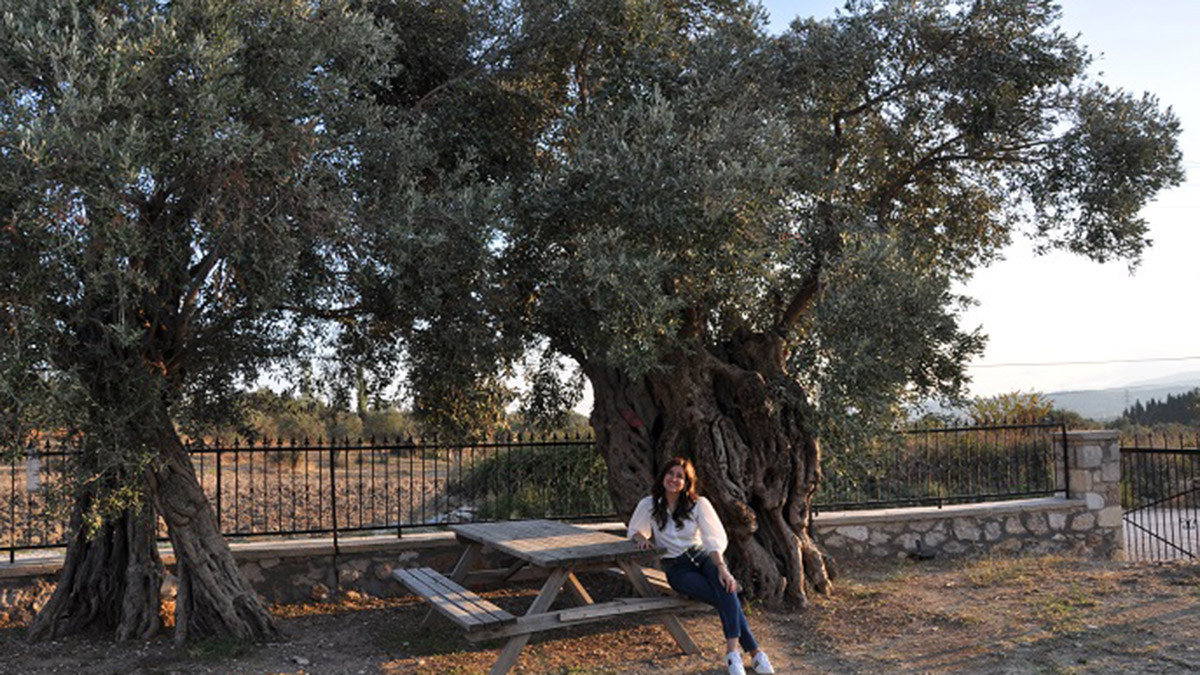 'Hayal Bahçe'den sofralara ulaşan asırlık lezzet