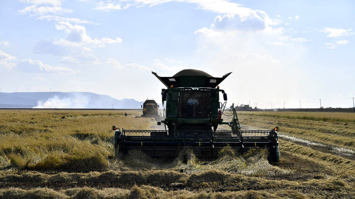 İpsala'ya Tarıma Dayalı İhtisas OSB kurulacak