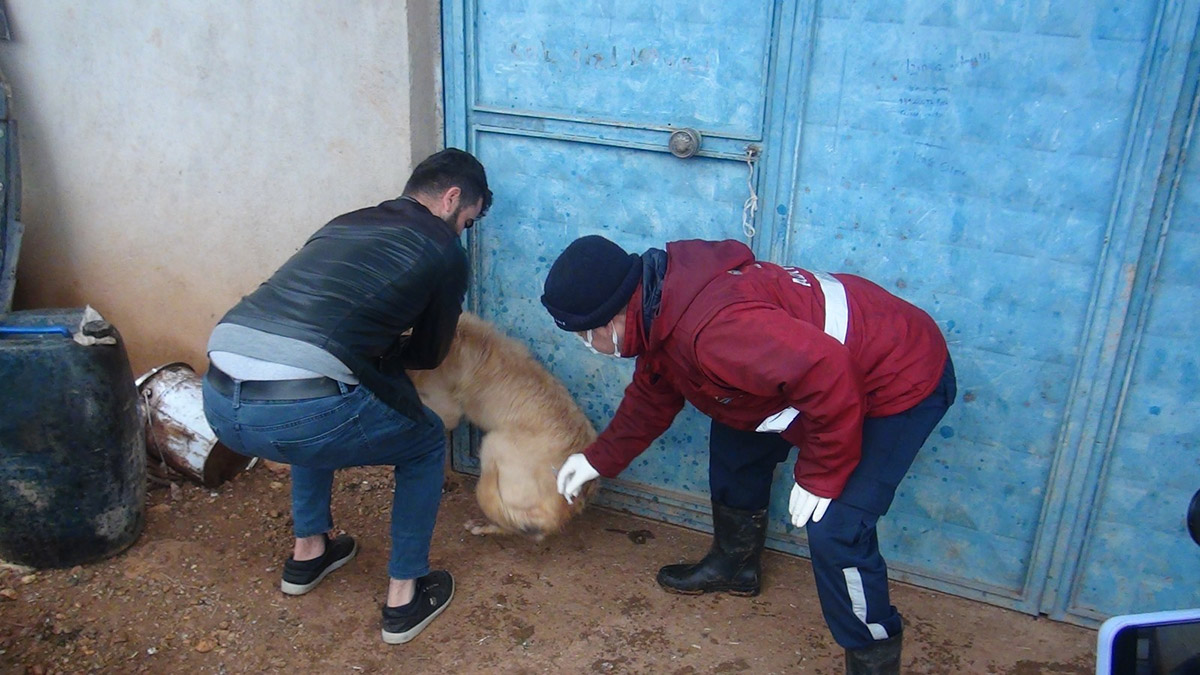 Karantinaya alınan 3 köyde aşılama çalışması