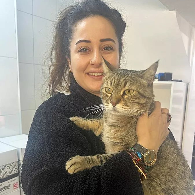 Kedi is yerinin asma tavanini cokerttia - yaşam - haberton