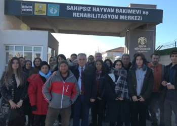 'Konya'daki barınak ziyarete açılsın' talebi