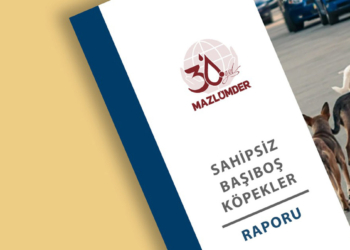 MAZLUMDER'den 'başıboş köpekler' raporu