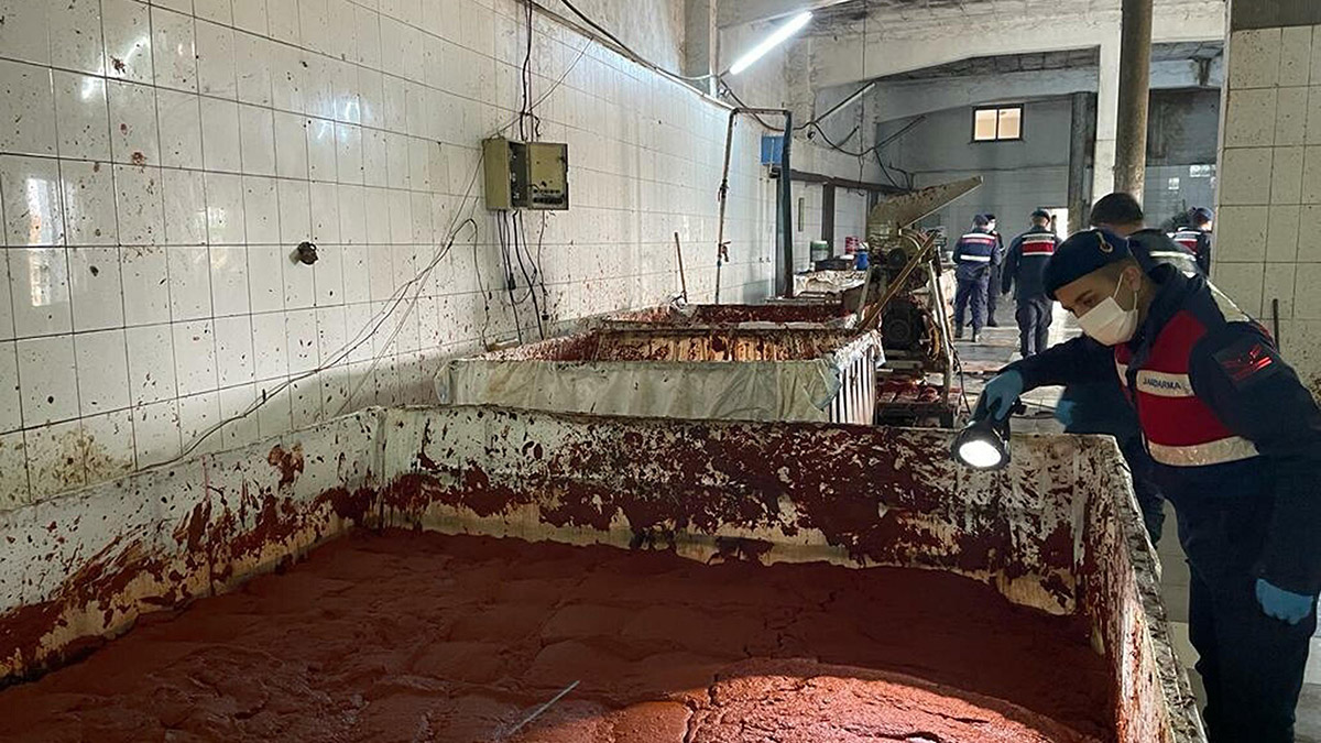 Merdiven altı üretilen 25 ton salça ele geçirildi