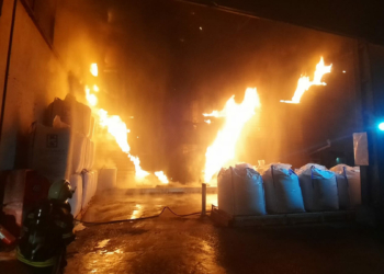 Milas'ta balık yemi fabrikasında yangın