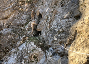 PKK'nın sözde EYP eğitim kampı imha edildi