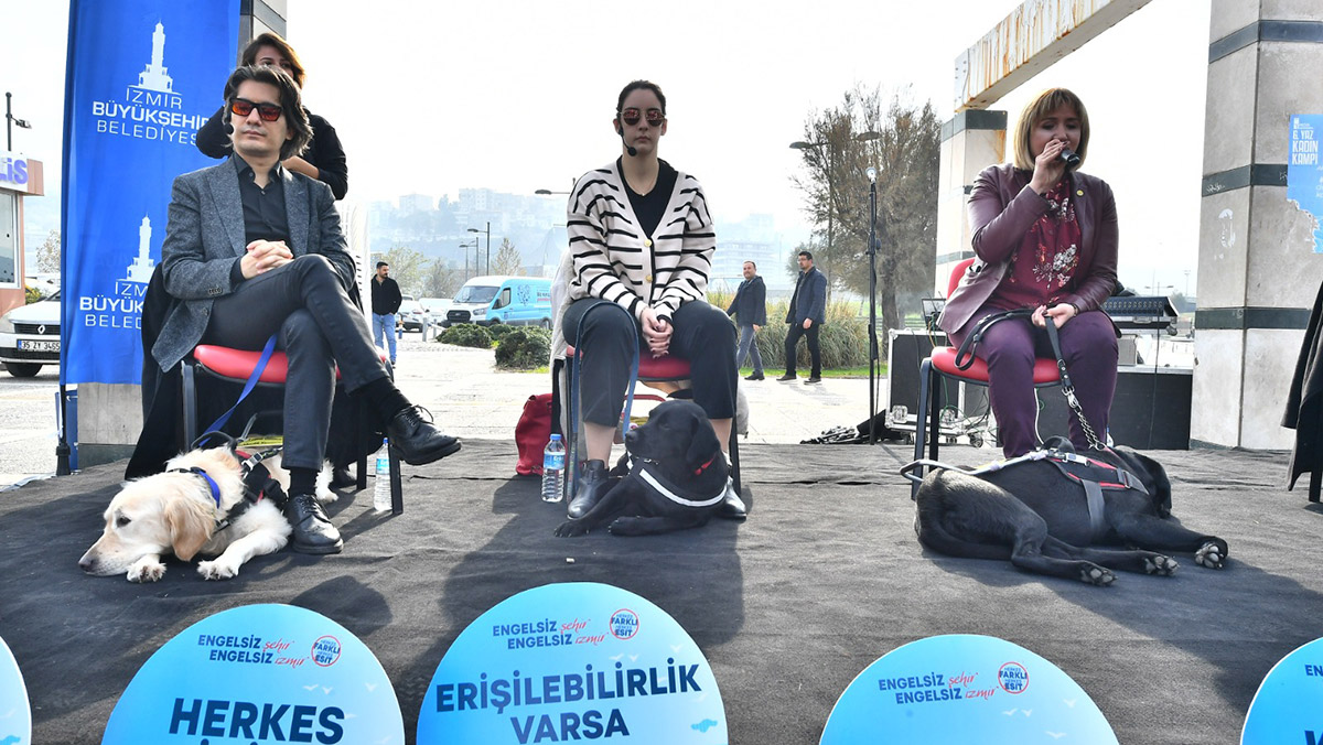 Rehber köpekler toplu ulaşımda