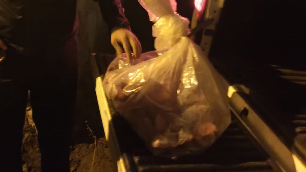 Şemdinli'de yaban keçisi avına 250 bin lira ceza