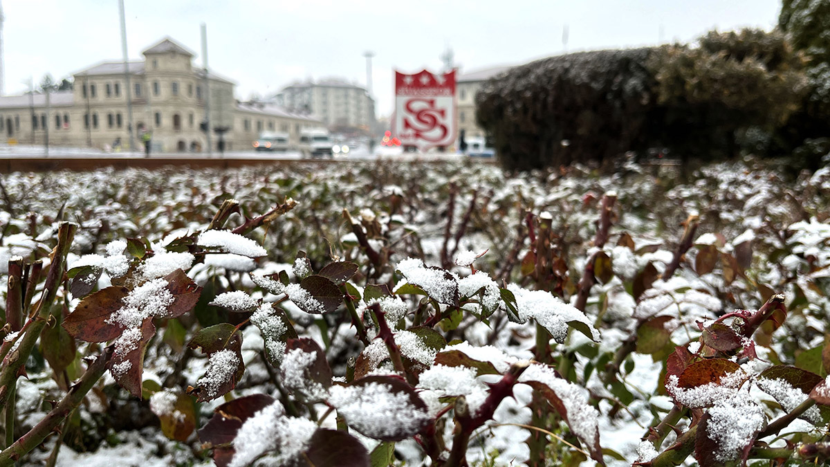Sivas'ta kar yağışı etkili oldu