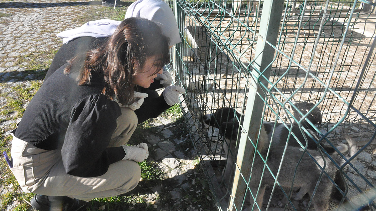 Sokak hayvanları barınağının 'gönüllü' elçileri