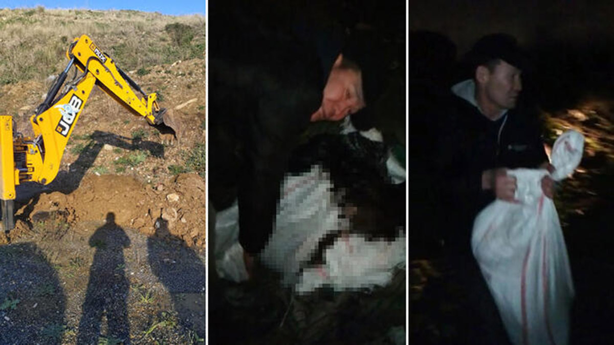 Sultangazi'de at keserken yakalandılar   