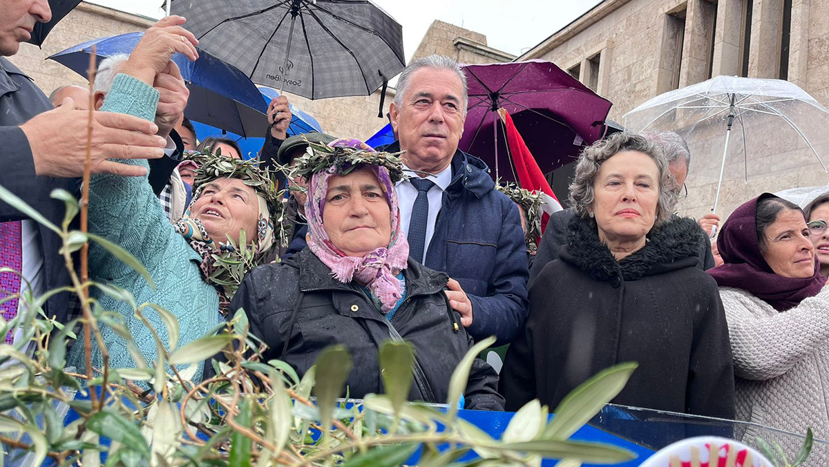 TBMM'de zeytinlik teklifine tepki